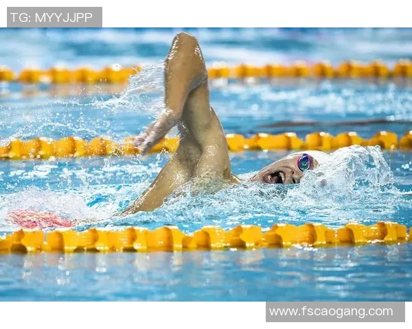 自由泳技巧全面解析与训练方法提升游泳表现的关键要素