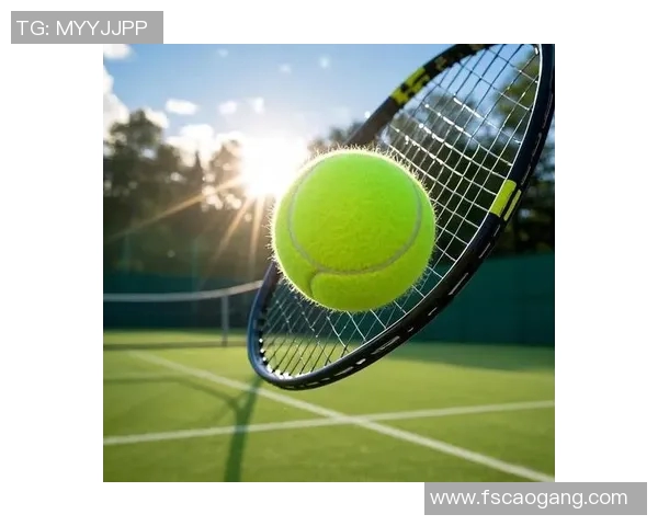 网球爱好者必备指南：从基础技巧到进阶战术全面提升你的网球水平